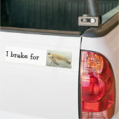 Bumpersticker - I rem voor zeeen schildpadden (Op Truck)