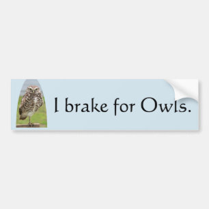 Bumpersticker I remmen voor Eigenaars met roeien