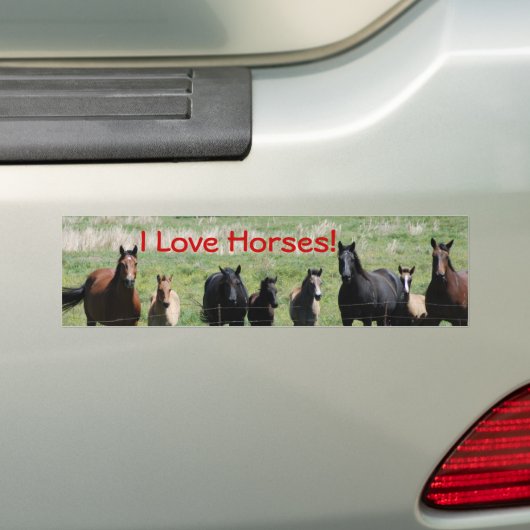 Bumpersticker - Ik hou van paarden! (Op auto)