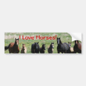 Bumpersticker - Ik hou van paarden! (Voorkant)