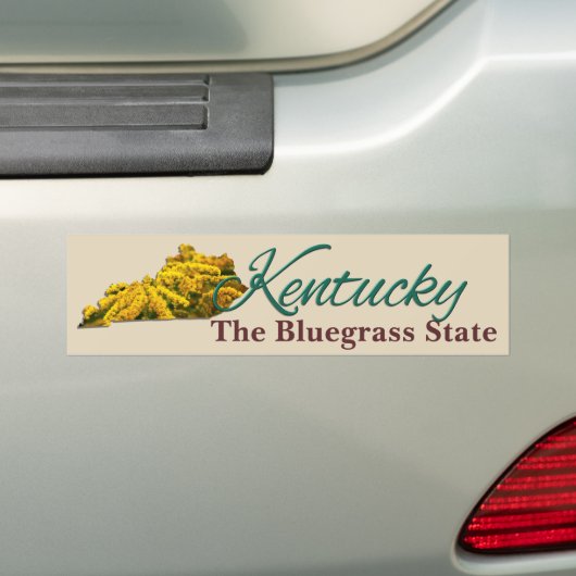 Bumpersticker - KENTUCKY (Op auto)