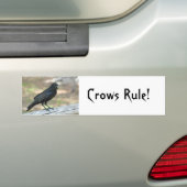 Bumpersticker koeienregel (Op auto)