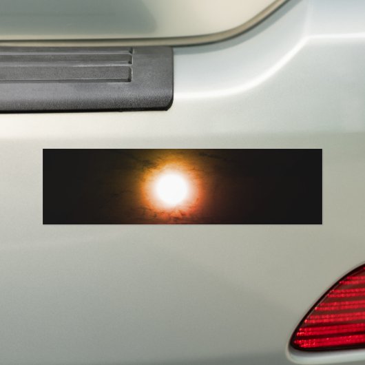 BUMPERSTICKER KOELE ECO STIJL (Op auto)