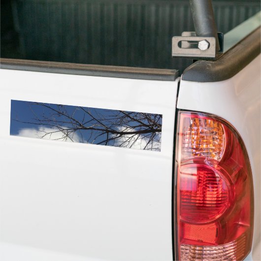 BUMPERSTICKER KOELE ECO STIJL (Op Truck)