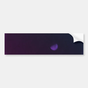 BUMPERSTICKER KOELE ECO STIJL