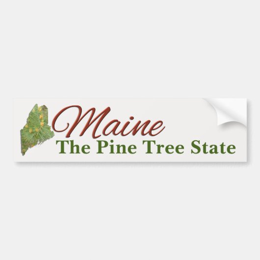 BUMPERSTICKER - MAINE (Voorkant)
