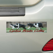 bumpersticker met Cyclone Border Collies bumper (Op auto)