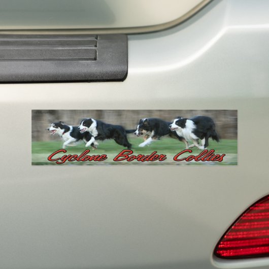 bumpersticker met Cyclone Border Collies bumper (Op auto)