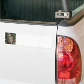 Bumpersticker met gepotte kieuwen (Op Truck)