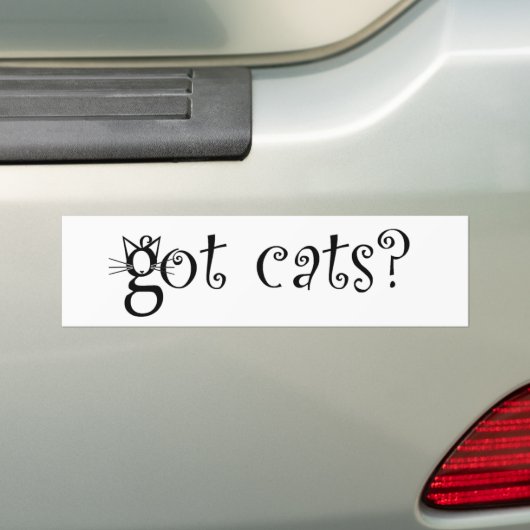 Bumpersticker met katten (Op auto)