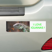 Bumpersticker met kleurrijke Iguana hagedis (Op auto)