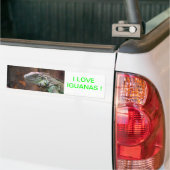 Bumpersticker met kleurrijke Iguana hagedis (Op Truck)