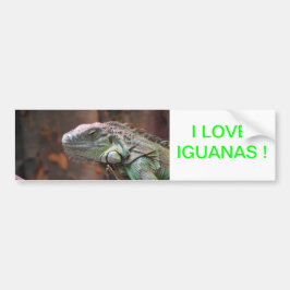 Bumpersticker met kleurrijke Iguana hagedis