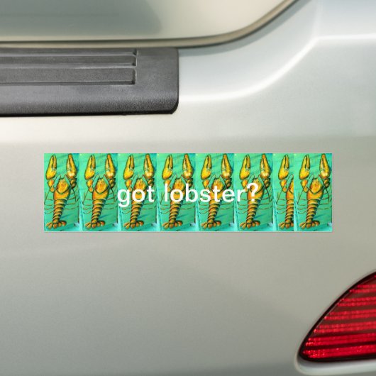 bumpersticker met kreeftenbumper (Op auto)