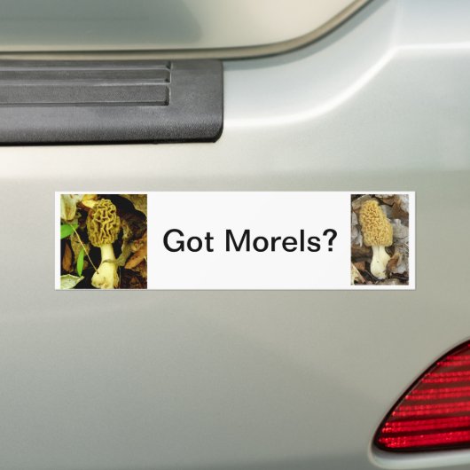 Bumpersticker met Morel Mushrooms (Op auto)