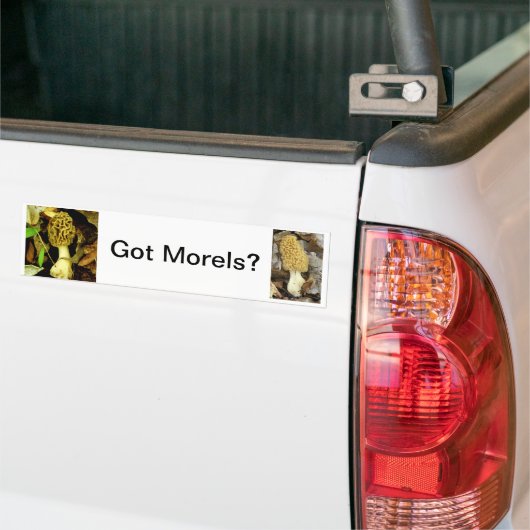 Bumpersticker met Morel Mushrooms (Op Truck)