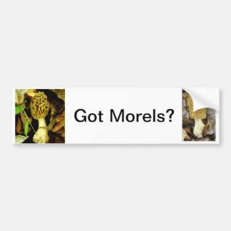 Bumpersticker met Morel Mushrooms