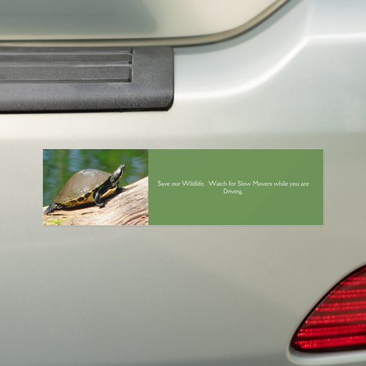 Bumpersticker met trage bewegende schildpad (Op auto)