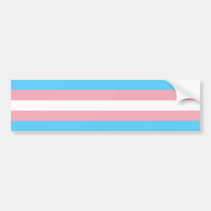 Bumpersticker onder transgendervlag