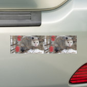 Bumpersticker Opossum (Op auto)