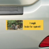 Bumpersticker over eekhoorns (Op auto)