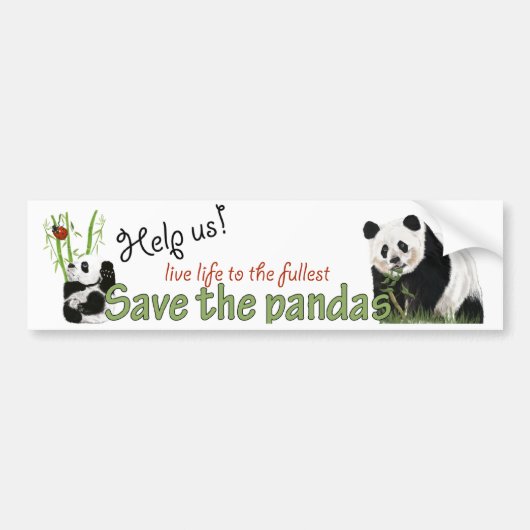bumpersticker pandas (Voorkant)