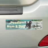 Bumpersticker poodle mam & pap (Op auto)