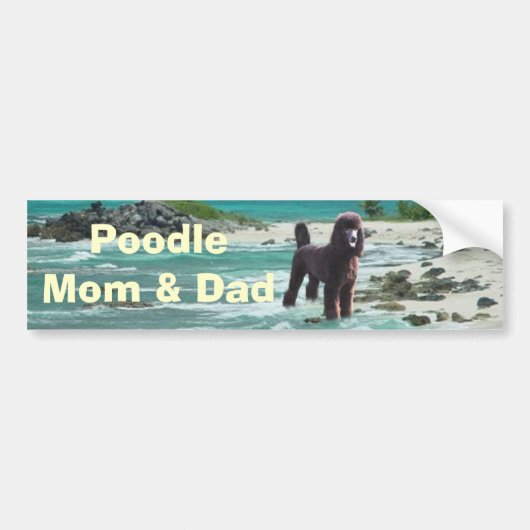 Bumpersticker poodle mam & pap (Voorkant)