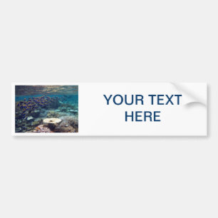 Bumpersticker - Powder Blue Surgeon Fish