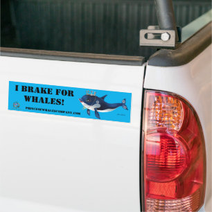 Bumpersticker Princess Starr I remt voor walvissen