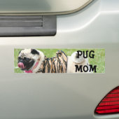 Bumpersticker Pug Ma (Op auto)