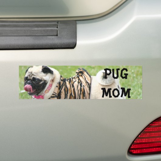 Bumpersticker Pug Ma (Op auto)