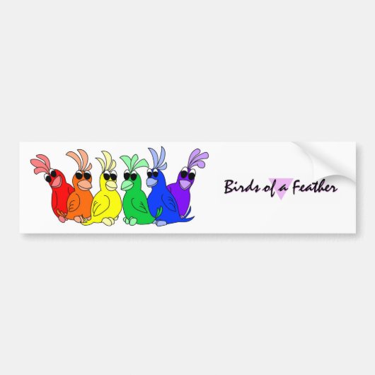 Bumpersticker regenboogvogels (Voorkant)