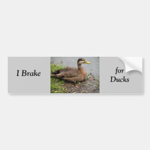 Bumpersticker, rem voor eenden bumpersticker