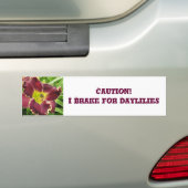 Bumpersticker remmen voor dagvliegen (Op auto)