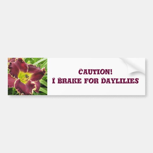 Bumpersticker remmen voor dagvliegen (Voorkant)