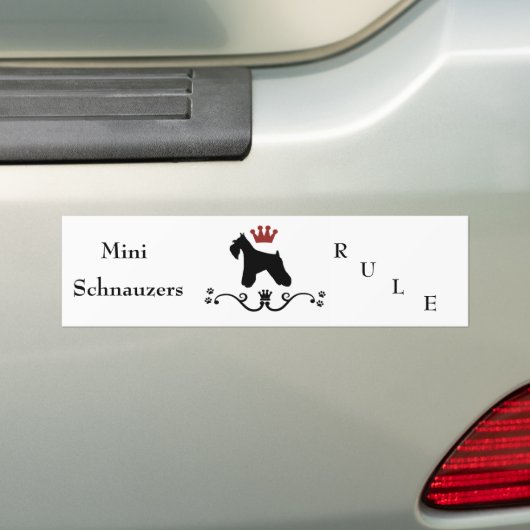 Bumpersticker Schnauzers (Op auto)