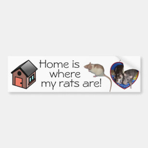 Bumpersticker: Thuis is waar mijn ratten zijn! Bumpersticker