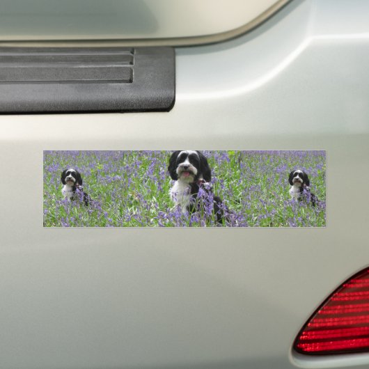 Bumpersticker Tibetan Terrier (Op auto)