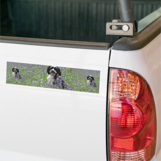 Bumpersticker Tibetan Terrier (Op Truck)