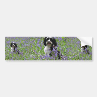 Bumpersticker Tibetan Terrier