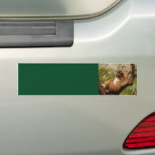Bumpersticker uit hoofdachtergrond (Op auto)