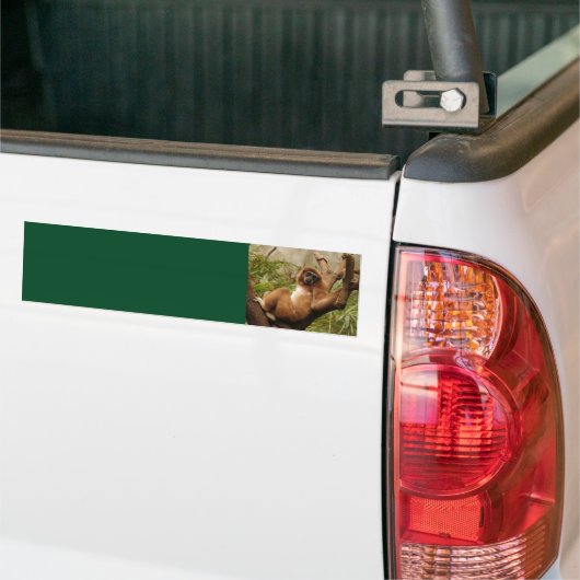 Bumpersticker uit hoofdachtergrond (Op Truck)