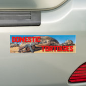 Bumpersticker van binnenlandse schildpadden (Op auto)