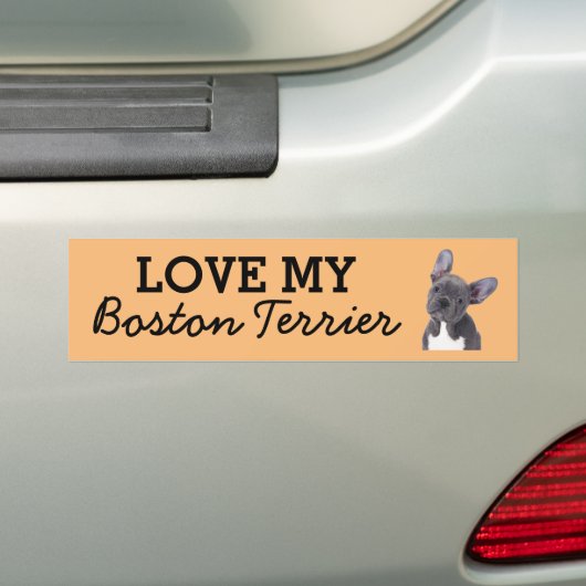 bumpersticker van Boston Terrier (Op auto)