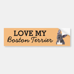 bumpersticker van Boston Terrier