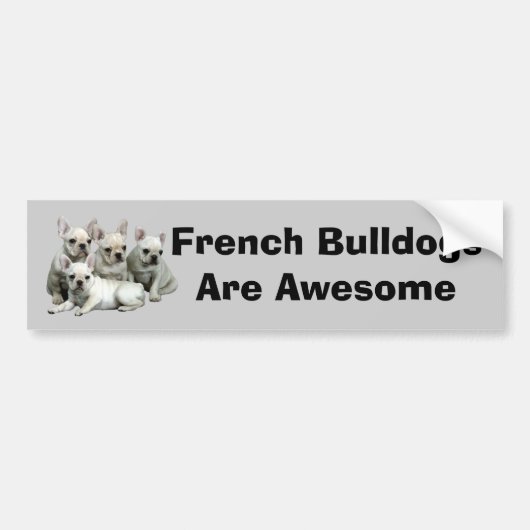 Bumpersticker van Bulldog (Voorkant)