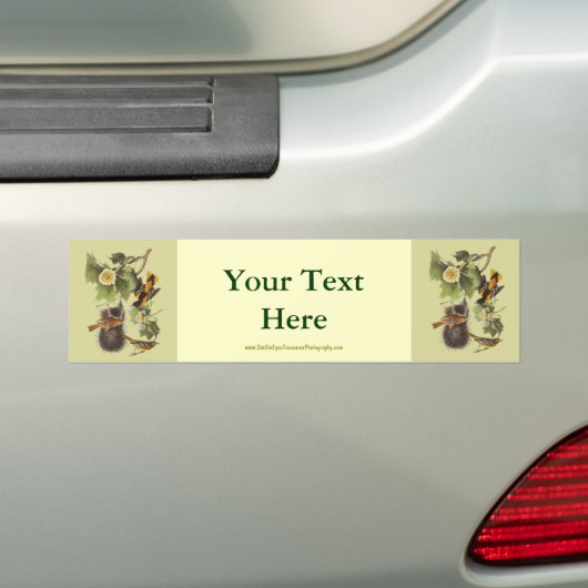 Bumpersticker van de  vogelstand Orioles (Op auto)