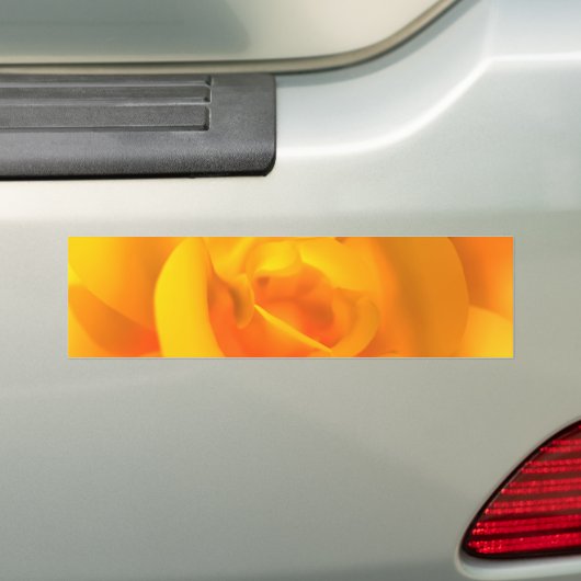 Bumpersticker van Roos (Op auto)