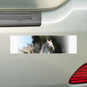 Bumpersticker van witte paarden (Op auto)